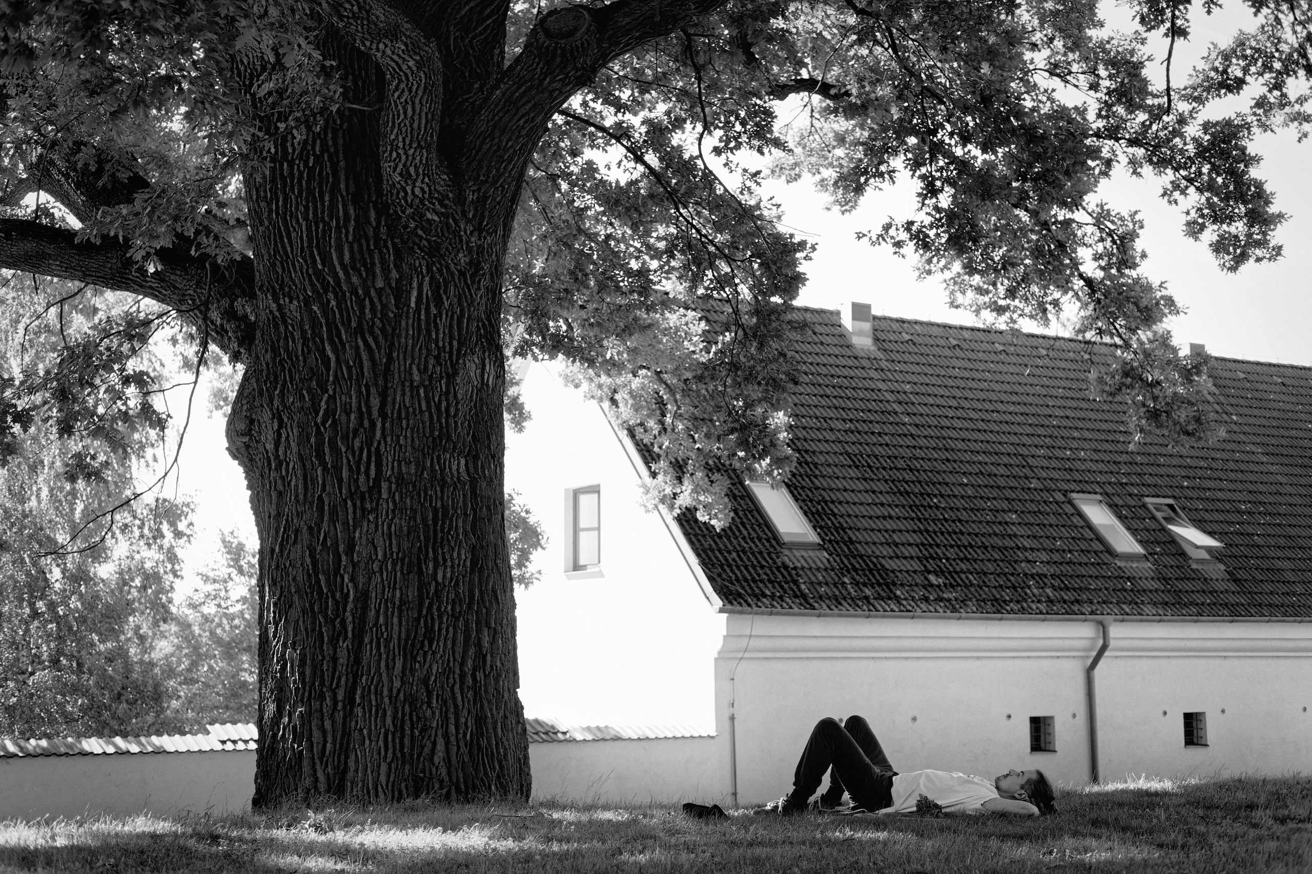 Letní škola Aikido — odpočinek pod stromem